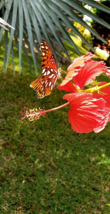 Villas Guanacaste Potrero  Ngoại thất bức ảnh