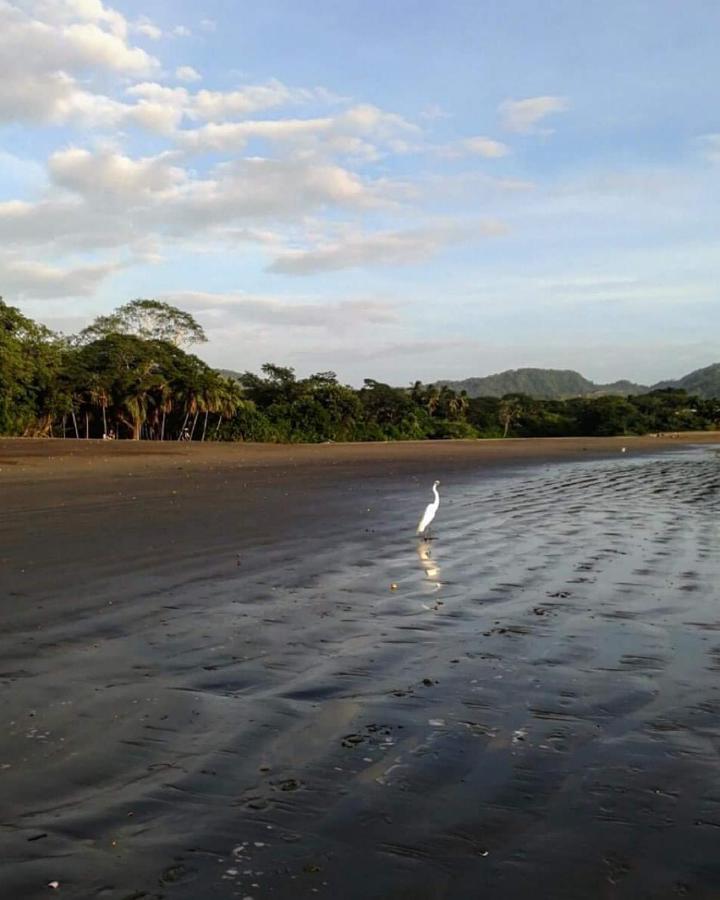 Villas Guanacaste Potrero  Ngoại thất bức ảnh